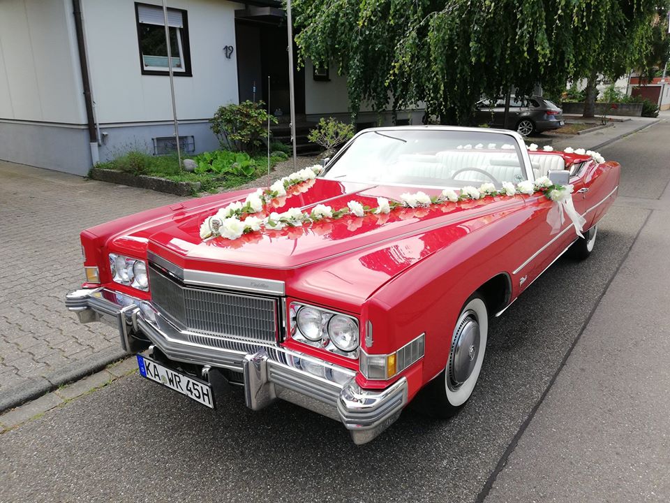 81447836 581886479261230 4627110212354965504 o